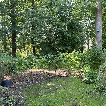 Apartment Ahrenshof W 12 *