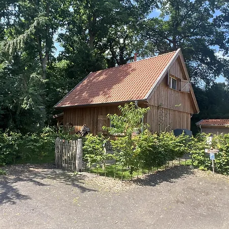 Appartamento Ahrenshof W 12 *